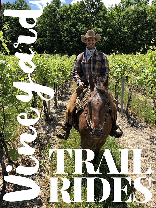 Vineyard Trail Rides